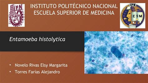 Entamoeba Histolytica By Alejandro Farías Issuu