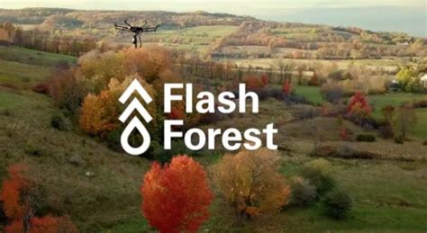 Flash Forest And Tree Planting With Drones