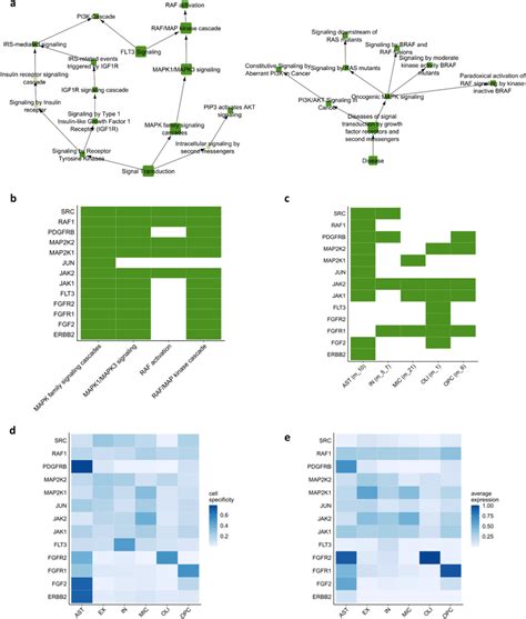 Characterization Of The Drug Targets Identified By The Drug Repurposing