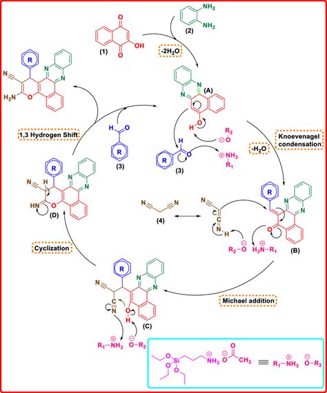 Mechanism For The Synthesis Of Benzo A Pyrano C Phenazine