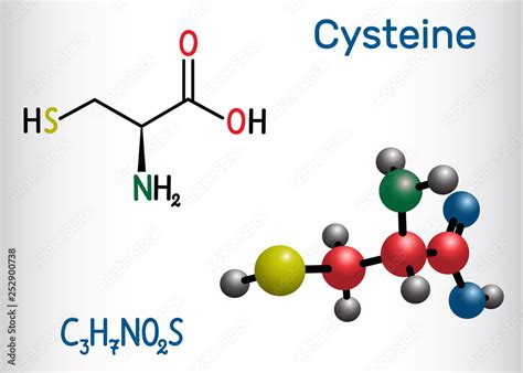 Cysteine L Cysteine Cys C Proteinogenic Amino Acid Molecule