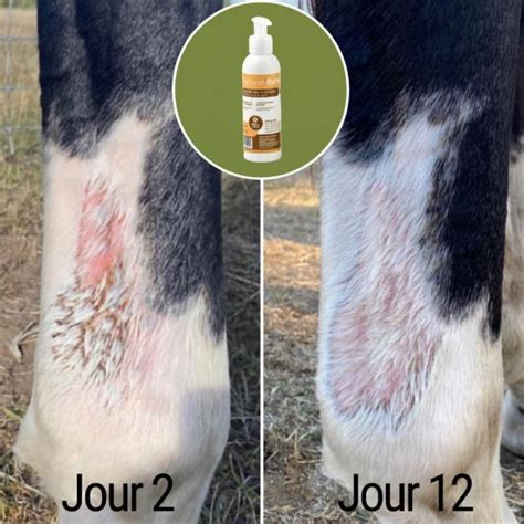 Natural Balm réparation cutanée cheval Natural Innov NATURAL INNOV