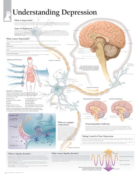 Understanding Cns Ubicaciondepersonas Cdmx Gob Mx