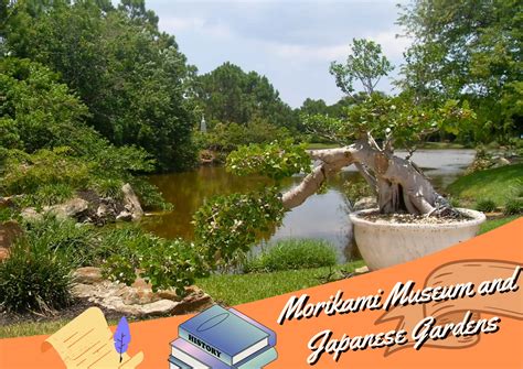 Florida Museums For Natural History Florida Splendors