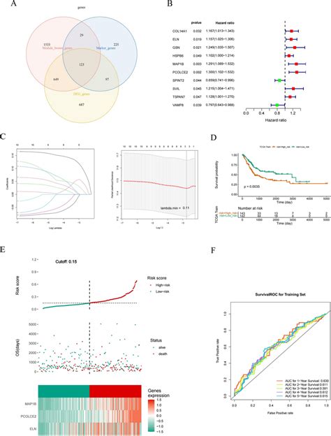 Construction Of Risk Signature In The Tcga Cohort A Intersection Of