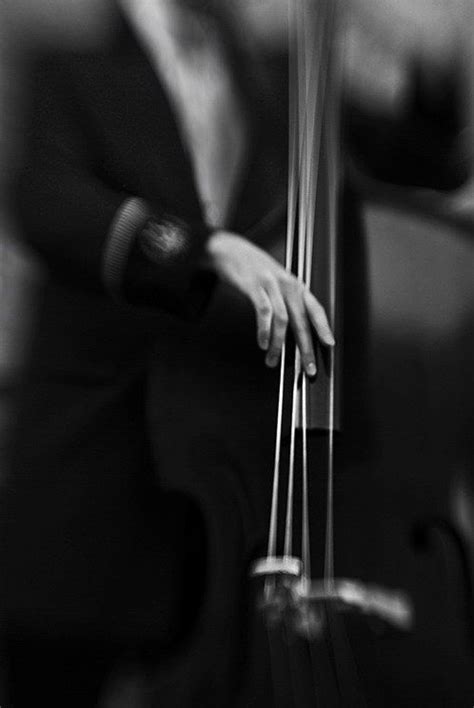 Black And White Photography By Branislav Fabijanic Music Photography Jazz Double Bass