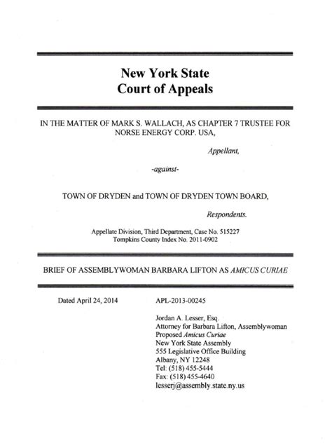 Court Of Appeals Norse V Dryden Amicus Brief Pdf Zoning Federal