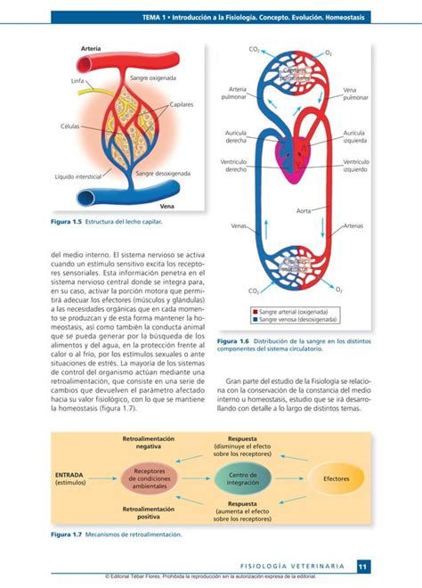 Fisiolog A Veterinaria Sacristan Pdf