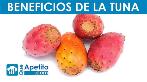 Propiedades Y Beneficios De La Tuna Queapetito Youtube