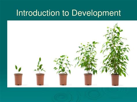 Ppt Contexts Of Development Example Powerpoint Presentation Free