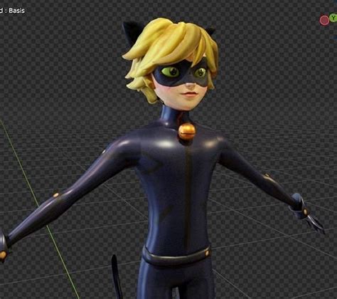 Cat Noir Animated Rigged From Miraculous Ladybug 3d Model