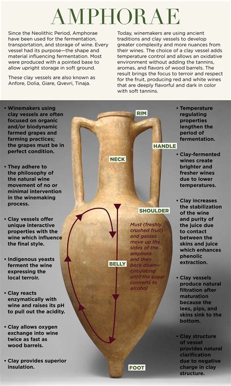 Amphorae: Celebrating Amphorae Exhibit | October 2022 | Wine History ...