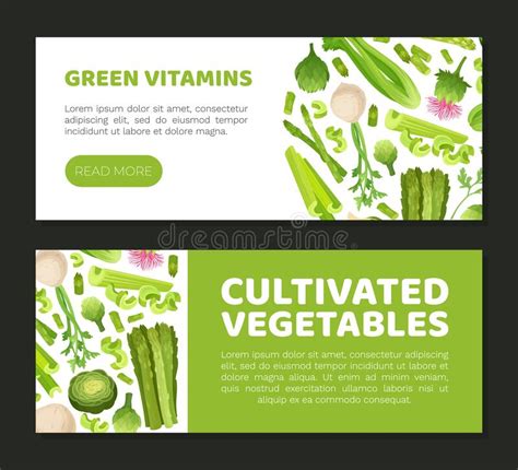 Green Vegetables Design With Celery Asparagus And Artichoke Vector