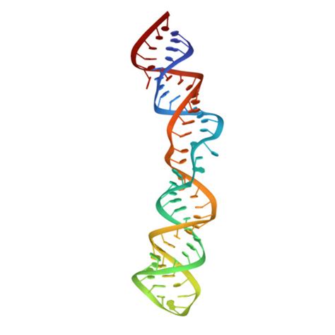 RCSB PDB 2MQT Solution NMR Structure Of The U5 Primer Binding Site