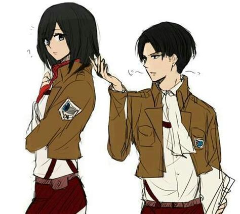 Levi x Mikasa | Anime Amino