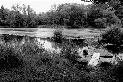 River Water Country Free Photo On Pixabay Pixabay