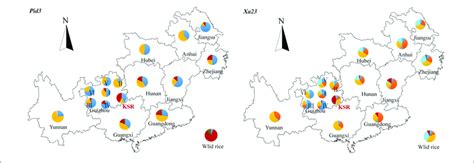 A Map Showing The Distribution Of Haplotypes Pie Charts Show The