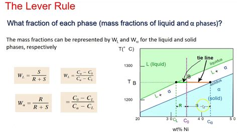 Phase Diagrams Understanding The Basics Campbell Phase Do Di