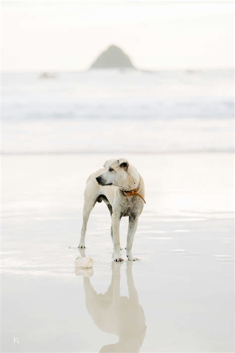 Free Standing+Er Photos, Download The BEST Free Free Standing+Er Stock