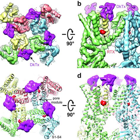 Coupling Of S S Linker And S Helix A B Superimposition Of Apo