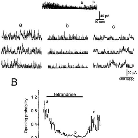 Effect Of Tetrandrine On Mean Open And Closed Time Of Bk Ca Channels In