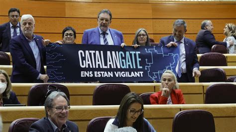 El Consell D Europa Aprova L Informe Que Insta Espanya A Investigar A