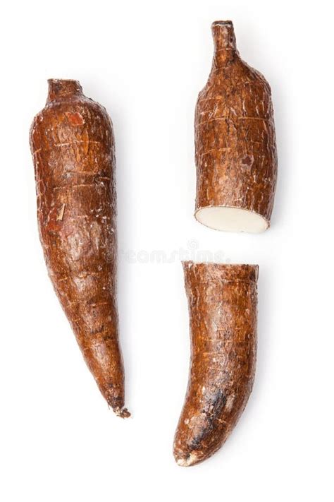 Manioc image stock. Image du nourriture, agrafe, fermer - 42630173