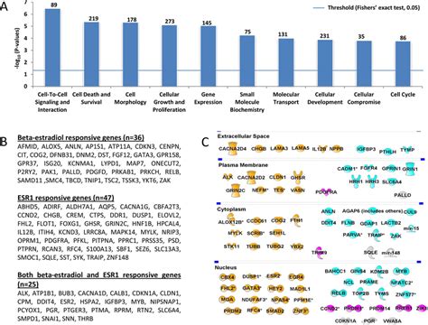 The Most Important Molecular And Cellular Functions Of The 1214