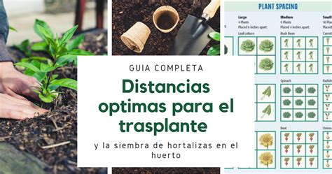 Qué se necesita para mantener un cultivo Mantén tu cultivo en