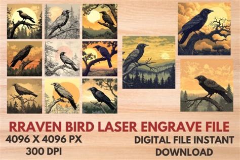 Raven Bird Laser Engrave File Graphic By Svg Creative Fabrica