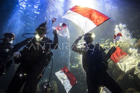 Pengibaran Merah Putih Sea World Antara Foto