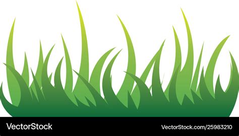 Grass Template Royalty Free Vector Image Vectorstock