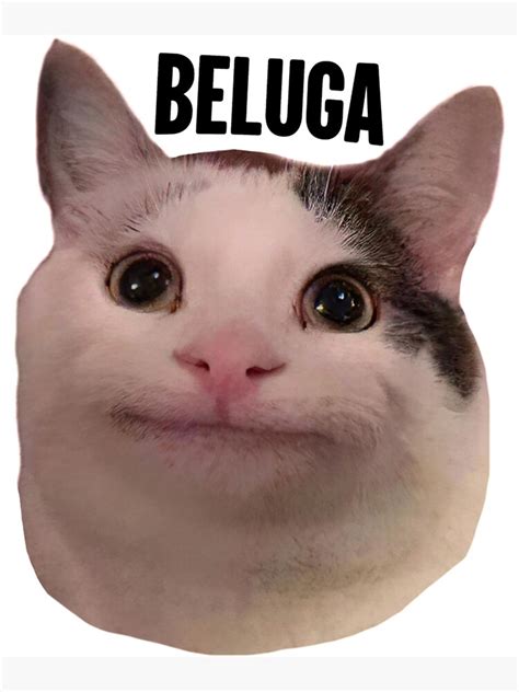 Beluga Cat Discord Pfp Art Print For Sale By Liamandlore Redbubble