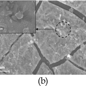 Sem Photos Of The Zno Layer Surface Coated With Variations In Rotation