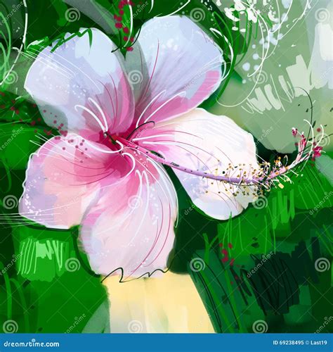 Painting Pink Hibiscus Flower Stock Illustration Illustration Of