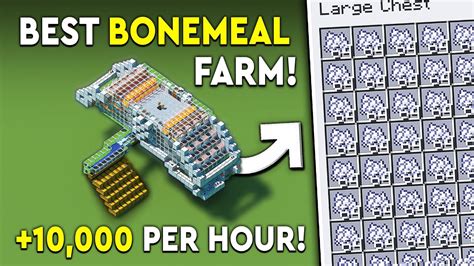 Minecraft Bone Meal Farm Tutorial New Update P Hr Youtube