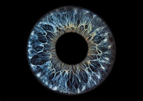 Iris Foto Galerie Garantiert Einzigartige Bilder Augen Fotografie