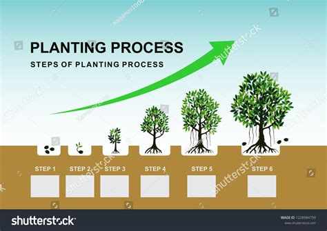 Process Plant Growth Banner Infographics Templates Stock Vector