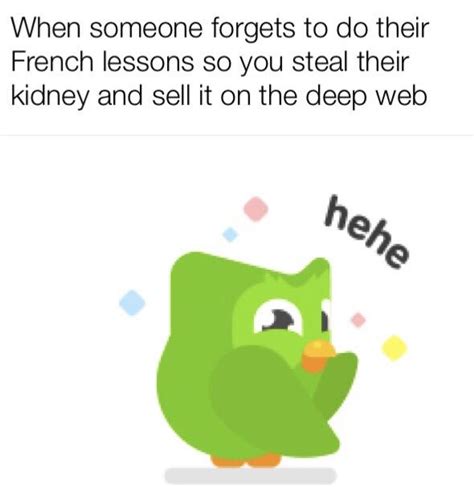 Duolingo Memes French