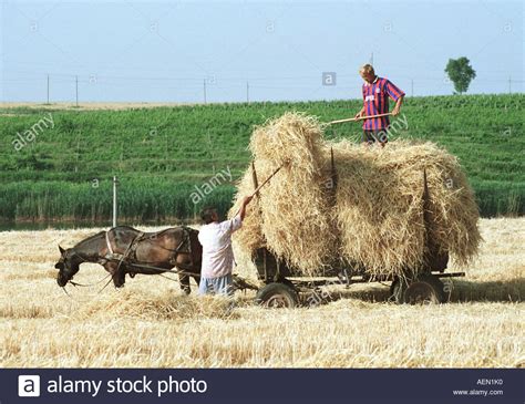 Landwirtschaft In Rumaenien Stockfotos & Landwirtschaft In Rumaenien ...