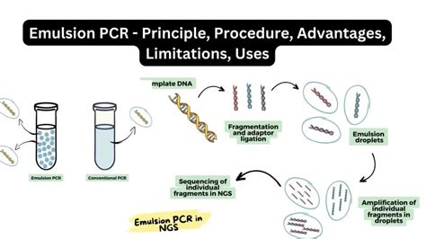 Emulsion Pcr Principle Procedure Advantages Limitations Uses Biology Notes Online