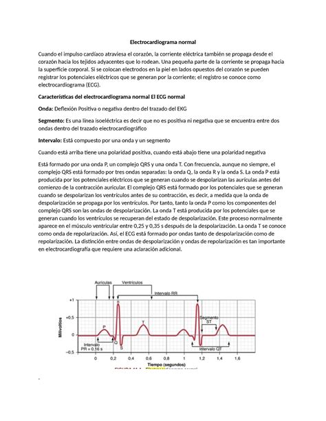 EKG Resumen Fisiologia Electrocardiograma Normal Cuando El Impulso