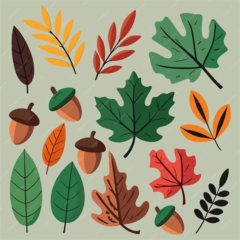 Set Of Autumn Leaves Simple Flat Cartoon Vector Illustration Premium