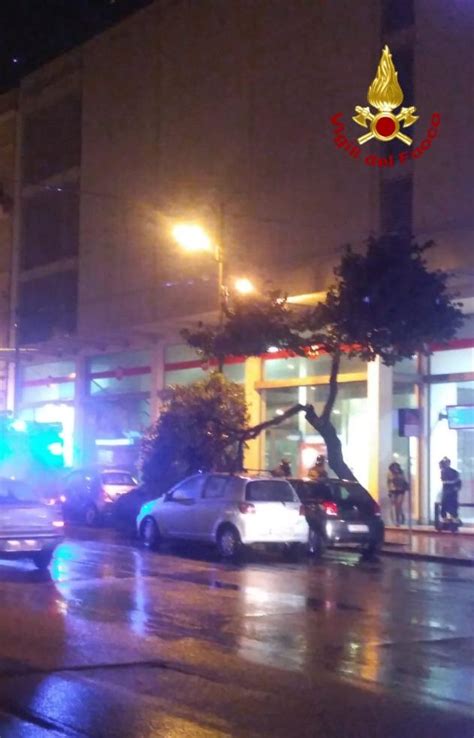 Albero Cade Su Due Auto In Via Dante Cagliari Vistanet