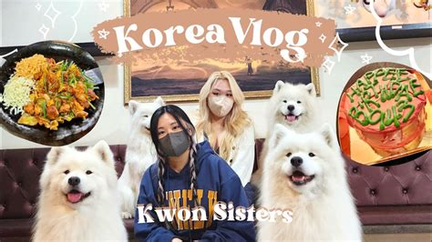 Korea Vlog Shopping In Hongdae And Cafe Hopping Harry Potter Cafe