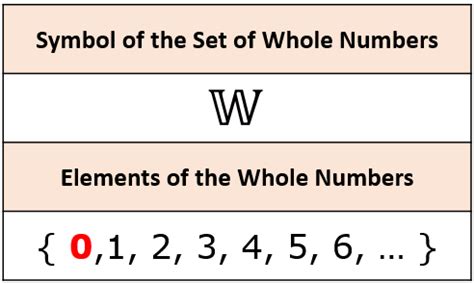 What Are Whole Numbers Definition Symbol Examples 43 OFF