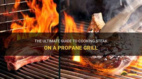 The Ultimate Guide To Cooking Steak On A Propane Grill Shungrill