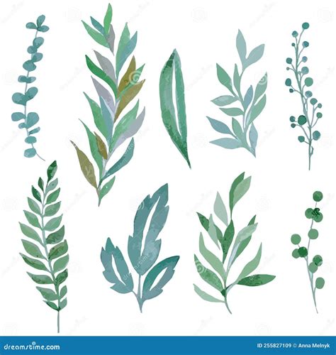 Watercolor Hand Drawn Vector Green Twigs Leaves Stock Vector