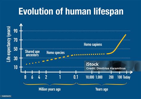 Human Lifespan Through Time Stock Illustration Download Image Now