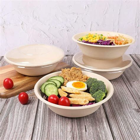 Biodegradable Molded Pulp Bagasse Sugarcane Disposable Food Container